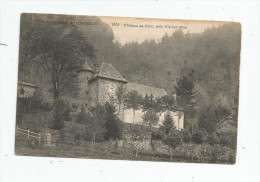 Cp , 15 , Château De COIS , Près VIC SUR CERE , Vierge - Sonstige & Ohne Zuordnung