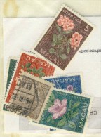 ASIE # MACAO # LOT DE 6 TIMBRES DONT 5 NEUFS # - Collezioni & Lotti