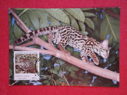 El Salvador Serie World Animals Widelife Fund 1988 Nice Stamp - El Salvador