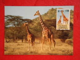 Kenya Serie World Animals Widelife Fund 1989 Nice Stamp - Kenia