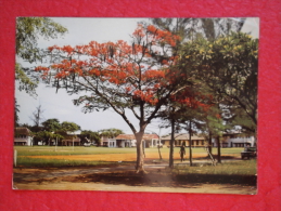 Nigeria Lagos Flame Tree 1970 Nice Stamp - Nigeria