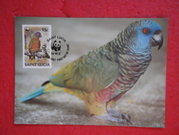 Saint Lucia Serie World Animals Widelife Fund 1987 Nice Stamp - Santa Lucía