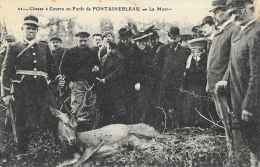 Chasse à Courre En Forêt De Fontainebleau - La Mort - Cerf - Carte Non Circulée - Chasse