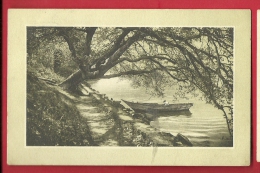 PAG-25  Paysage Au Bord Du Léman, Barque De Pêcheur. Cachet Morges 1910 - Morges