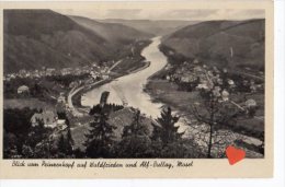 26186-LE-ALLEMAGNE-Blick Vom Prinzenkopf Auf Waldfrieden Und Alf-Bullay,Mosel - Alf-Bullay