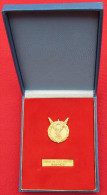AVIATION / AERONAUTICAL - Croatia, Federation In Yugoslavia, Anniversary, Medal, Diameter: 40x30mm - Sin Clasificación