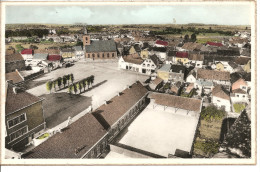 Delcampe - Basècles, Panorama Et école Communale - Belöil