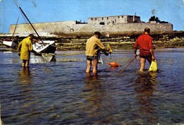 CP DEPT 56  PLOEMEUR  LA PECHE A LA CREVETTE AU FORT BLOQUE - Plömeur