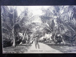 LEOPOLDVILLE OUEST AVENUE DES COCOTIERS - Kinshasa - Leopoldville