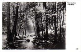 Eppstein Ehlhalten Im Taunus - S/w Taunusbilder Silberbach - Taunus