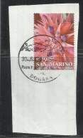 SAN MARINO 2002 I COLORI DELLA VITA IL ROSSO DI UNA PIANTA GRASSA € 0,05 USATO USED OBLITERE´ - Oblitérés