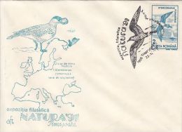 34462- POMARINE SKUA, BIRDS, SPECIAL COVER, 1991, ROMANIA - Marine Web-footed Birds