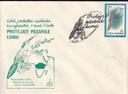 34475- WHITE HEADED WOOD HOOPOE, BIRDS, SPECIAL COVER, 1992, ROMANIA - Specht- & Bartvögel