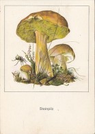 34509- MUSHROOMS - Champignons