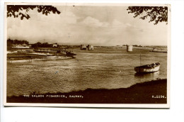 GALWAY Salmon Fisheries - Galway