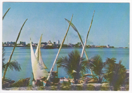 Brasil Turistico - Recife - Pernambuco - Vista Panorâmica De Cidade - Panoramic View - Pas Circulé - Recife