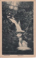 AK Todtmoos - Wasserfälle  (20922) - Todtmoos