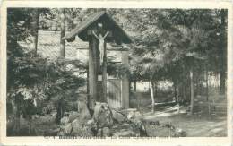 BANNEUX-NOTRE-DAME - La Croix Episcopale Sous Bois - Sprimont