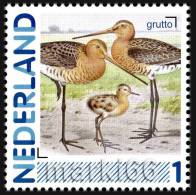 Netherlands - 2011 - Personalized Stamp - Netherlands Birds, Black-tailed Godwit - Mint Personalized Stamp - Nuovi