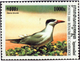 BIRDS-ALBATROSS-BLUE FOOTED BOOBY & OTHERS-CAMBODIA-2002-FULL SET-MNH-B3-525 - Albatros & Stormvogels