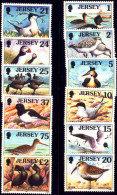 BIRDS-JERSEY-1997 FULL SET & 1998 PART SET-MNH-B3-573 - Albatrosse & Sturmvögel