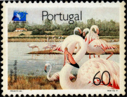 BIRDS-FLAMINGOS-PORTUGAL-MNH-B3-574 - Flamingo's