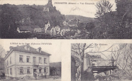 16044# FERRETTE ALSACE VUE GENERALE - HOTEL DE LA GARE Alphonse PFIFFER - CHATEAU 1920 HAUT RHIN - Ferrette