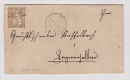 Heimat LU Wauwyl 1868-05-28 Lang-O Bahnpost Luzern-Olten- - Covers & Documents