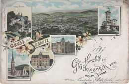 Litho 1896 AK Gruss Sebnitz Grenadierburg Neujahr Bei Neustadt Hinterhermsdorf Hertigswalde Amtshainersdorf Schönbach - Sebnitz