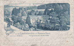 Litho AK Spechtritz Spechtritzmühle Gasthaus Bei Lübau Rabenau Tharandt Freital Paulsdorf Dippoldiswalde Rabenauer Grund - Rabenau