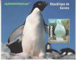 Greenpeace 1998 République De Guinée Albatros/Penguin M/s ** Mnh (26746A) - Albatrosse & Sturmvögel