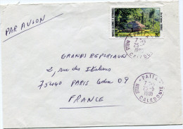 NOUVELLE-CALEDONIE LETTRE PAR AVION DEPART PAITA 25-5-1985 POUR LA FRANCE - Cartas & Documentos