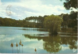 ANGLET - Le Lac De Chiberta - Cap 3433 - écrite, Circulée Et Flamme 1969 - Tbe - Anglet