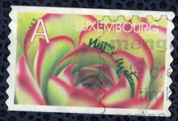Luxembourg 2002 Oblitéré Used Plante Joubarbe Natur Musée - Used Stamps