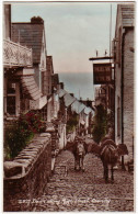 CLOVELLY: Down Along High Street - Clovelly