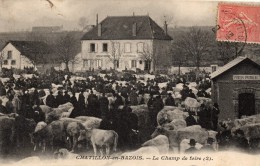 58 - CHATILLON EN BAZOIS - Le Champ De Foire - Chatillon En Bazois