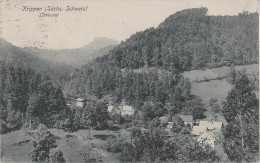 AK Sächsische Schweiz Liethental Bei Kleinhennersdorf Krippen Gohrisch Bad Schandau Königstein Papstdorf Schöna Bahnpost - Kleinhennersdorf