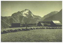 CPSM  VENOSC  , L'Alpe De Venosc , La Muzelle  , Un Troupeau De Moutons Et Les Environs - Vénosc