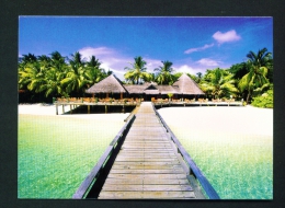 MALDIVES  -  Unused And Uncaptioned Postcard As Scan - Maldive