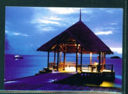 MALDIVES  -  Unused And Uncaptioned Postcard As Scan - Maldives
