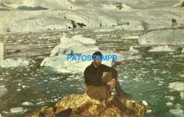 25994 ARGENTINA ANTARTICA ANTARCTICA CABO PRIMAVERA EN LA PENINSULA POSTAL POSTCARD - Argentina