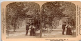 Stereofoto - Lover´s Lane, Central Park, New York 1896 - Stereoscoopen