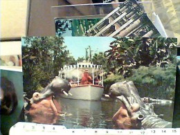 IPPOPOTAMO DISNEYLAND IPPOPOTAMI JUNGLE CRUISE 1970 FE7647 - Flusspferde