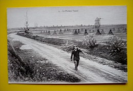 LE PLATEAU PICARD - Cultures - Moulin à Vent - Picardie