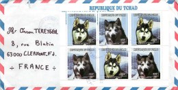 TCHAD - BLOC SERIE DE 6 TIMBRES SUR LETTRE -"CHIENS POLAIRES" - VOYAGEE EN 1999 - - Events & Gedenkfeiern