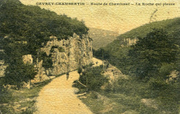 GEVREY CHAMBERTIN  LA ROCHE QUI PLEURE  CARTE TOILEE  A. RIVET - Gevrey Chambertin