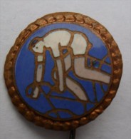 Cycling, Bike, Bicycles   PINS BADGES  Z - Cyclisme