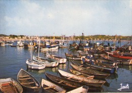 Delcampe - Erquy.. Belle Vue Du Port Bateaux Barques - Erquy