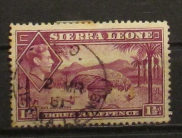 Sierra Leone 1938 Rice Harvesting Three Halfpence - Sierra Leone (...-1960)