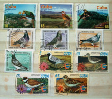 Cuba 2001 - 2003 Birds Parrot Pigeons Water Bird - Gebruikt